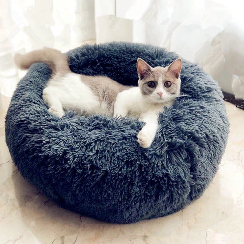 Best Cat Bed